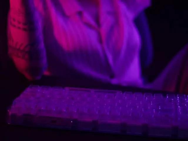 DianaMurr from BongaCams